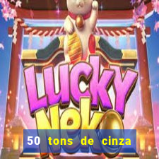 50 tons de cinza online dublado